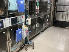 -申普宠物医院·心脏介入·心血管微创(总院)