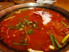 -新凯里酸汤鱼(飞山街店)