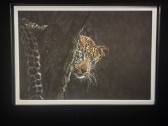 -罗红摄影艺术馆