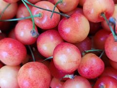 -四季水果蔬菜园(闽江路店)