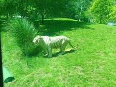 -北京野生动物园