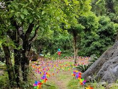 -玉石林风景区
