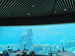 -海棠湾洲际-涛·海底餐厅·美人鱼·自助餐·海底隧道