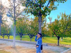 -济南国际园博园