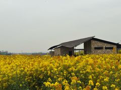 -三圣花乡旅游区