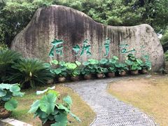 -荷塘月色湿地公园·向阳花洲
