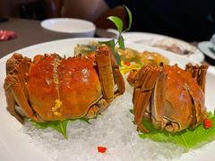 -蟹榭·莳鲜(虹桥高岛屋店)