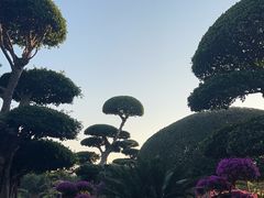 -南宁南湖公园