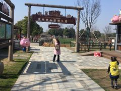 -田园东方蜜桃村的田野营地