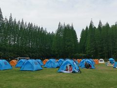 -黄海国家森林公园