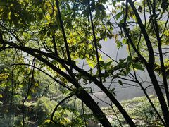 -赤水丹霞旅游区·大瀑布