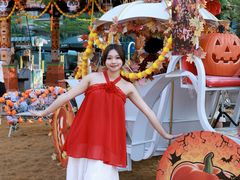 -灵玲国际马戏城