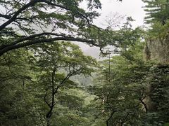 -洛阳白云山景区