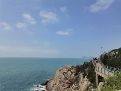-广东惠东海龟国家级自然保护区