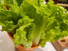 -菌小白火锅(时尚天河店)