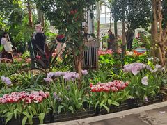 -石家庄市植物园