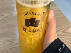 -雾与山茶(大禹城店)