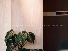 -luutosa  cafe & tea 鹿兔山