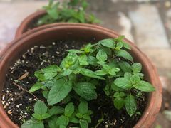 -房山世界地质公园博物馆