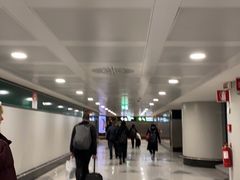 -米兰马尔彭萨国际机场