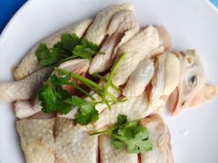 -千岛蚝高压锅生蚝·人参火锅(白云万达店)