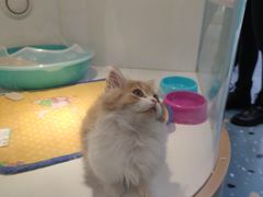 -龟与熊猫宠物公园(南坪店)