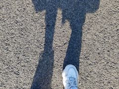 -昆山城市生态森林公园