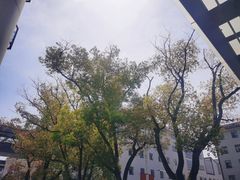 -苏州市立医院(白塔院区)