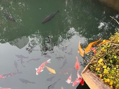-千滋百味·醉江澜花园餐厅(街道口店)