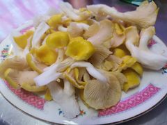 鸡油菌-燃计沙茶皇·香港沙茶火锅(人广旗舰店)