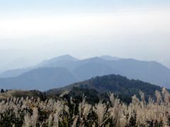 -东天目山风景区
