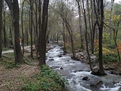 -玉渡山自然风景区