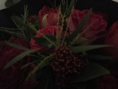 -植物学家的女儿(北马道巷店)