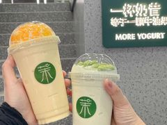 -茉酸奶(春熙路店)