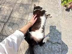 -寂照庵