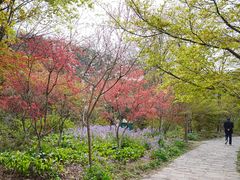 -大伊山景区
