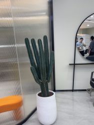 -YESIDO BLACK椰岛造型