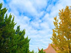 -苏州文庙(姑苏区)