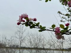 -苏州太湖国家湿地公园