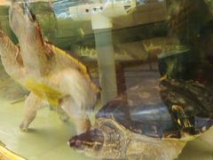 -白金汉爵大酒店(相城店)