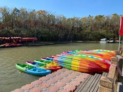 -上海海湾国家森林公园