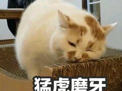 -泡泡玛特POPMART(壹号店)