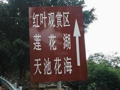 -广州市石门国家森林公园
