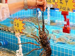 -汕头龙光喜来登酒店-采悦轩中餐厅