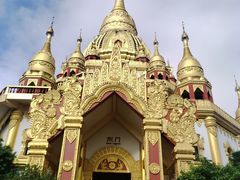 -瑞丽独树成林风景区