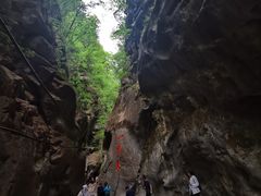 -黑河国家森林公园