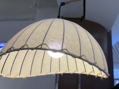 -一善菌·云南菌汤·云南菜(银泰城店)
