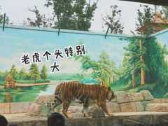 -郑州银基国际旅游度假区