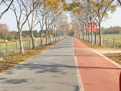 -上海长兴岛郊野公园