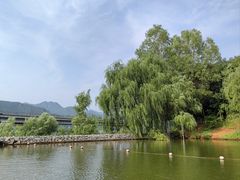 -北京中信金陵酒店